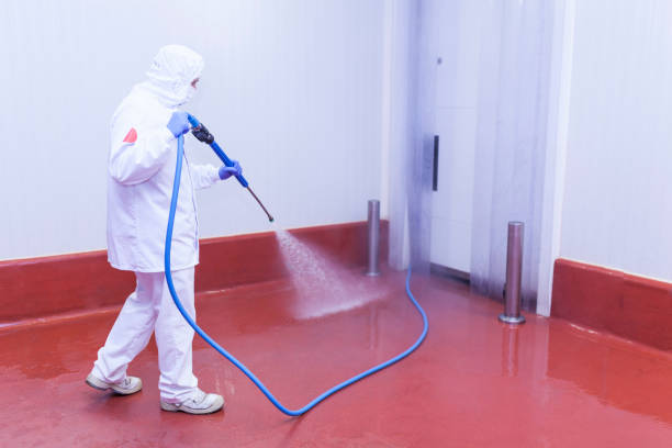 Best Building Exterior Washing  in Carter Lake, IA